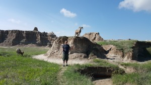 Chris going horn to horn with a sheep...sort of