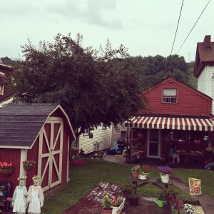 2015-06-29 15.13.33-1