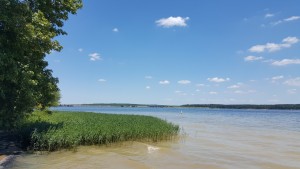 2015-08-01 13.23.48-2