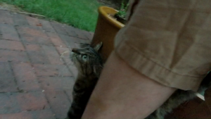 "Please be my friend"