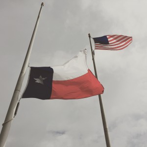 2015-09-02 15.43.25-1