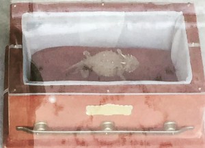 2015-09-12 12.50.15-1