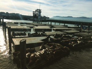 2015-10-08 17.07.29-1