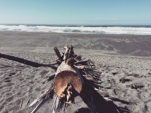 2015-10-11 13.31.42-1