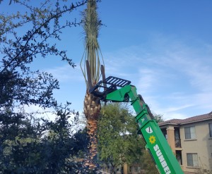 2016-03-05 09.11.52-1