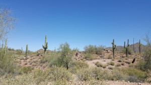 2016-04-02 12.22.39-1