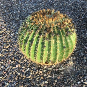 2016-04-21 18.09.16-2