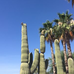 2016-06-02 14.53.53-2