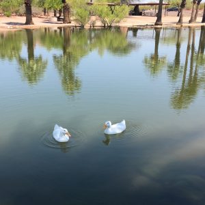 2016-06-05 10.57.06-2