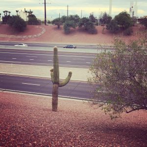 2016-06-30 09.54.11-1