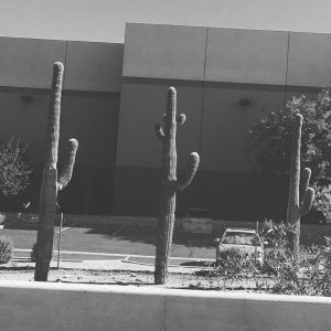 2016-11-11-11-46-16-2